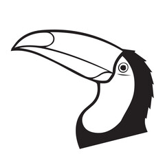 toucan bird vector illustration