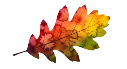 "Autumn Vein: The Leaf’s Watercolor Farewell"