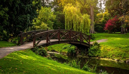 A wooden bridge arching over a narrow stream surrounded by trees and green grass in a tranquil park setting