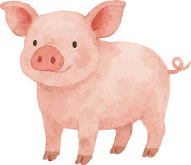 A watercolor vector illustration of a pig
