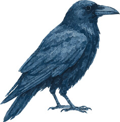 Vector watercolor illustration of a raven
