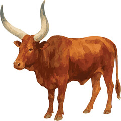 Vector watercolor illustration of a sanga