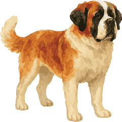 Vector watercolor realistic illustration of a st bernard dog