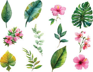 set of flowers isolated on white