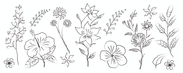 Hand drawn flower and leaf  vector set. Doodle floral and leaf elements in ink brush style.