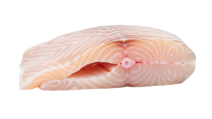 Piece Of Fresh Halibut Steak Isolated On Transparent Background Showing Texture White Meat and Red Bloodline Fresh Seafood Studio Shot