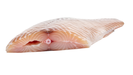 Studio Shot of a Single Halibut Steak Showing Muscle Fibers Against Black Backdrop Food Still Life Flat Cut Pale Pink Fish Meat Ingredient Raw