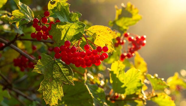 Bright red berries clustered on a branch with sunlit leaves create a warm, natural, and vibrant scene - Powered by Adobe