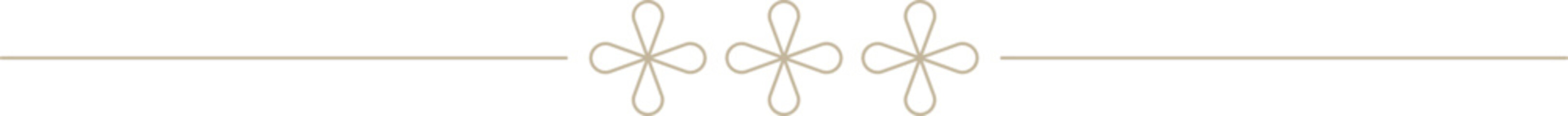 Indian Minimalistic Floral Motif text divider	
