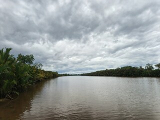Calm river water and mangrove forests with cloudy sky conditions