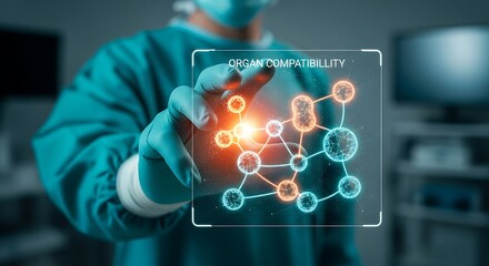 Medical professional analyzing organ compatibility data on a futuristic transparent digital display screen