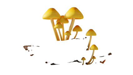 A Group of Yellow Mushrooms with Golden Caps on Transparent Background