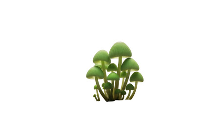 Cluster of Small Green Mushrooms on Transparent Background Still Life