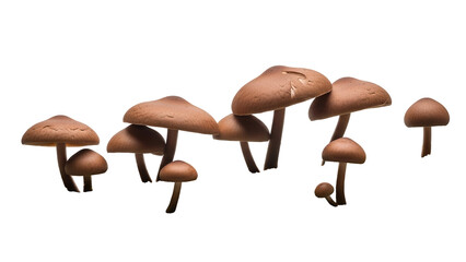 Isolated Group of Brown Mushrooms with Gills on Transparent Background in Studio Shot, Macro Details, Food Photography, Natural Elements