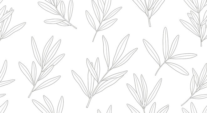 Elegant botanical line art pattern of olive branches.