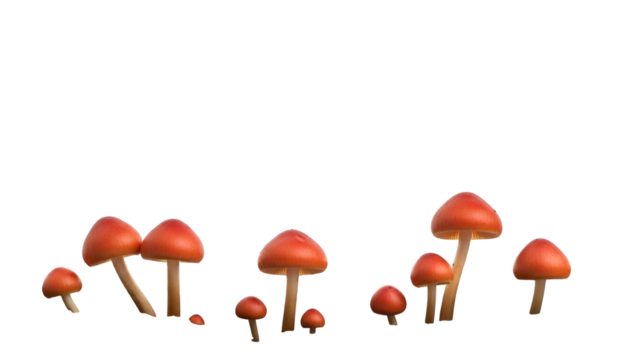 Collection of Small Red Orange Mushrooms Grouped on Transparent Background