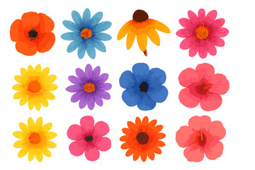 Collection of twelve colorful spring and summer flowers in various bright colors and shapes isolated on white background