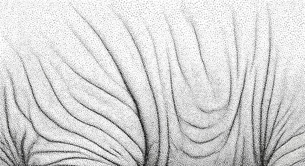 Detailed spectrogram displaying complex acoustic wave patterns and sound frequencies.