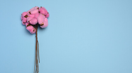 A bouquet of pink dyed cotton flowers on long stems.