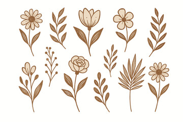 Collection of hand drawn boho floral elements and botanical leaves in earthy tones © Alan