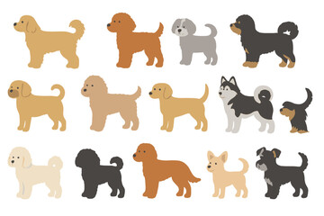 Collection of various domestic dog breeds standing in profile view on white background