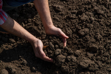 Male farmer in the field checks the soil. Selective focus.