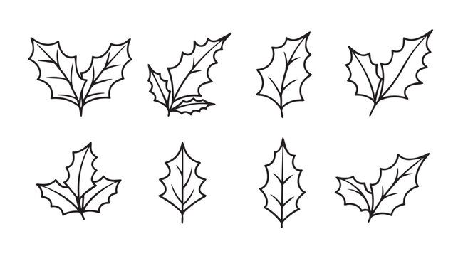 Collection of hand drawn holly leaf illustrations in silhouette style