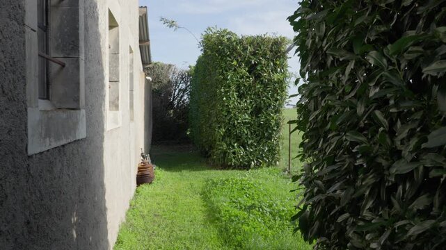 All&eacute;e de Jardin Rustique entre Fa&ccedil;ade de Maison Ancienne et Haies Taill&eacute;es