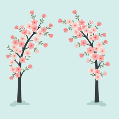 Fototapeta premium Two Cherry Blossom Trees