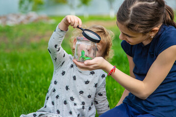Child in nature with a lizard. Selective focus.