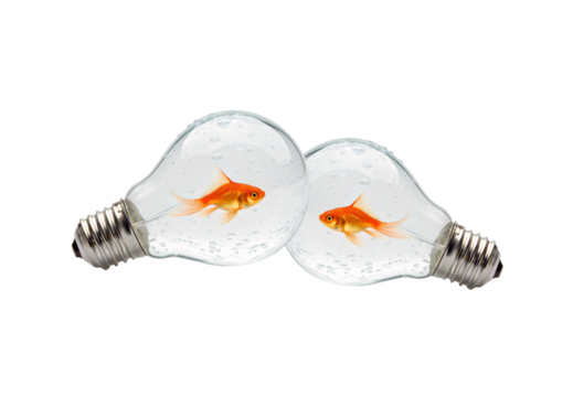 Two goldfish swimming inside separate water-filled light bulbs, isolated on a transparent background