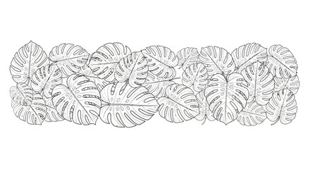 Monstera Leaf Border Black and White Illustration for Coloring or Design