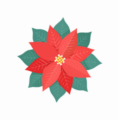 Vibrant Poinsettia Flower with Red Petals and Green Leaves.