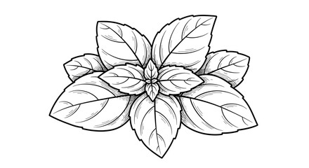 Sketch of vibrant basil leaves arranged in symmetrical captivating pattern