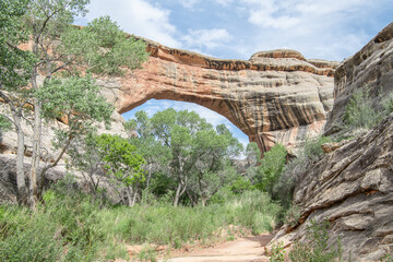 Sipapu Natural Bridge, in Natural Bridges National Monument, Utah, USA