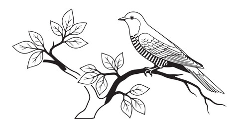 vector illustration of a bird