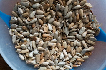 Sunflower seeds close-up. Seeds. Food concept