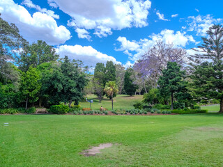 11 November 2025 View of Sydney CBD from Botanical Gardens  on the harbour foreshore  in Sydney NSW Australia