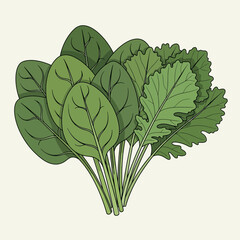 Illustration of Spinach and Kale Verdant Harmony: A Study in Green Textures