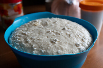 Raw yeast dough. Seeded bread. Food concept