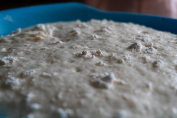 Raw yeast dough. Seeded bread. Food concept