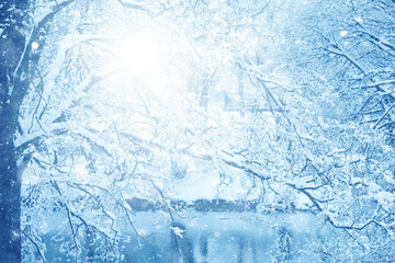 Snowy winter background in the park, blurred abstract seasonal backdrop, snowflake texture, light landscape background