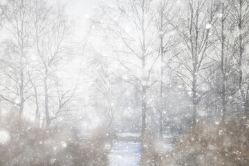 Naklejka premium snowfall, abstract nature background, heavily blurred landscape, blizzard and white snow backdrop