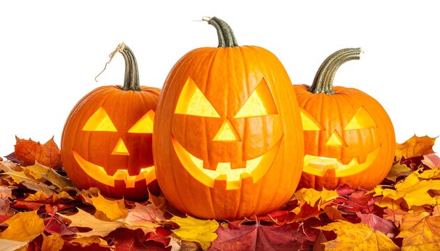 Three jack-o'-lanterns sit amongst colorful autumn leaves, glowing with light against a white backdrop