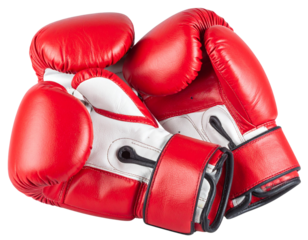 Title suggestions
red boxing gloves
red boxing glove
red boxing gloves isolated