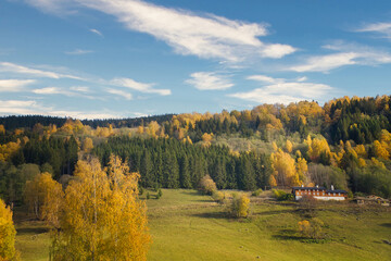 Autumn landscape with colorful trees and farmhouse on sunny meadow in Norway.