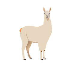 Fototapeta premium Cute cartoon deer mammal drawing vector illustration silhouette standing on a white background