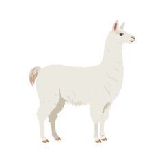 Obraz premium Cute cartoon illustration of sheep and lamb isolated on white farm animal vector design