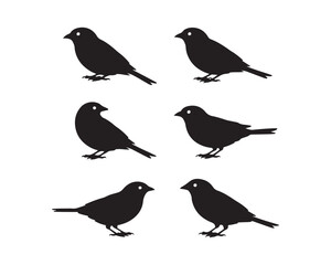 sparrow silhouette, sparrow vector, sparrow collection, sparrow set, bird silhouette, small bird vector, flying sparrow, perched sparrow, songbird vector, forest bird vector, cute bird design, minimal