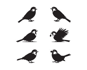 sparrow silhouette, sparrow vector, sparrow collection, sparrow set, bird silhouette, small bird vector, flying sparrow, perched sparrow, songbird vector, forest bird vector, cute bird design, minimal